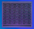 Auto Bank Series 2020 – Large Uncut Printer’s Sheet – Car Front (Recto & Verso UV)